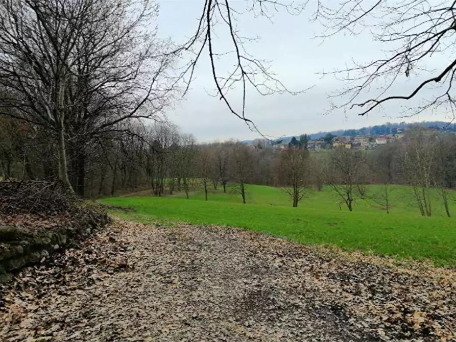 Immagine 6 di Terreno agricolo in vendita  in Via del Fontanone a Azzate