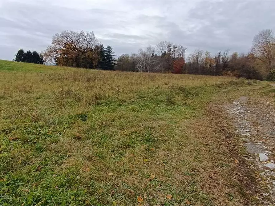 appartamento in vendita a Besozzo