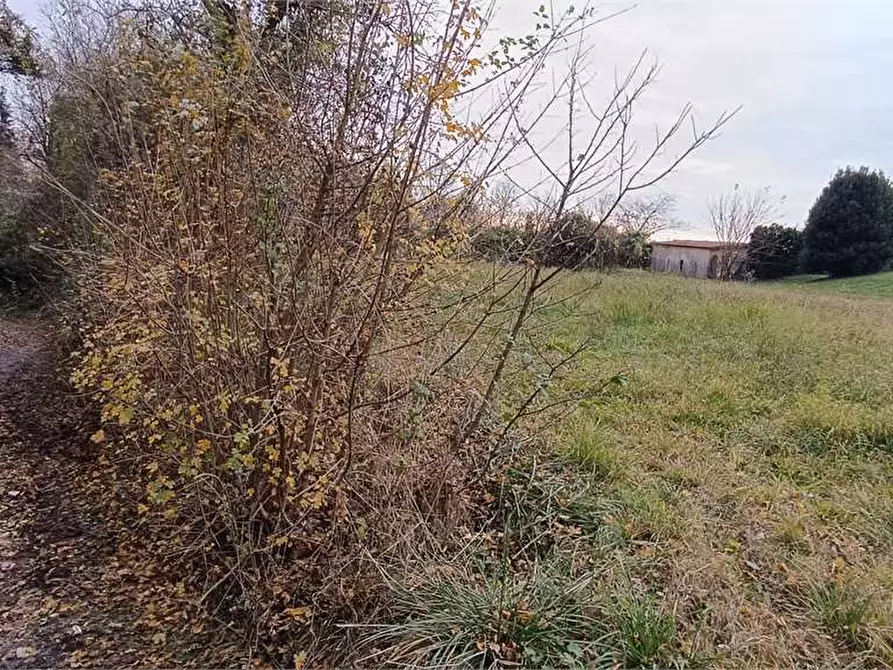 Immagine 3 di Terreno edificabile in vendita  in via Prealpi a Besozzo