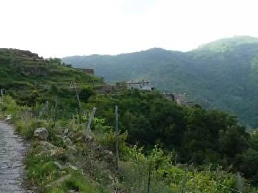 Immagine 5 di Appartamento in vendita  in Corso Guglielmo Marconi 304 a San Remo