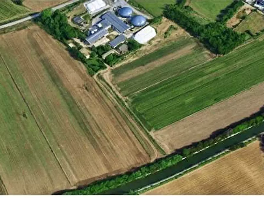 Immagine 2 di Terreno agricolo in vendita  a Gorla Minore