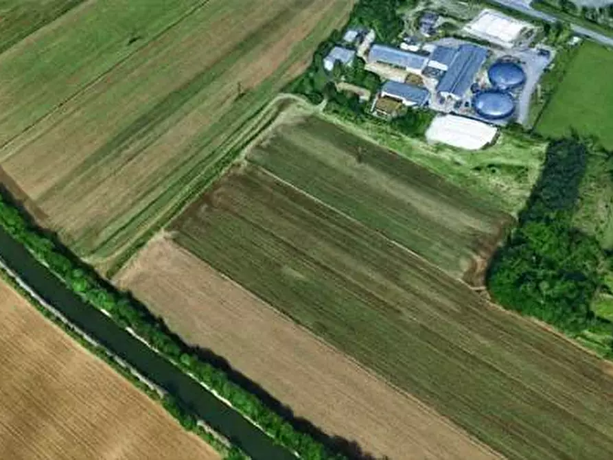 Immagine 1 di Terreno agricolo in vendita  a Gorla Minore