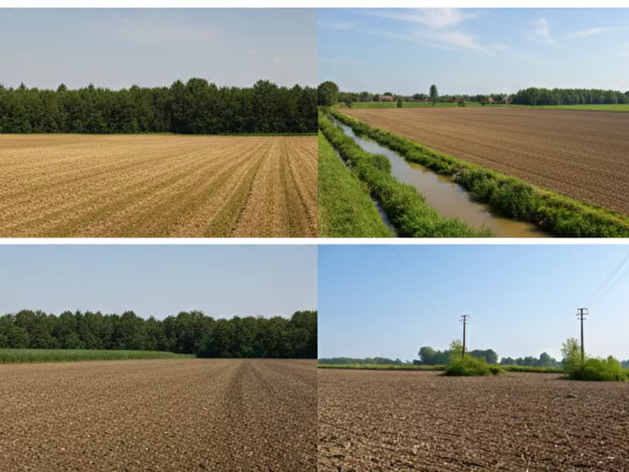 Immagine 4 di Terreno agricolo in vendita  a Gorla Minore