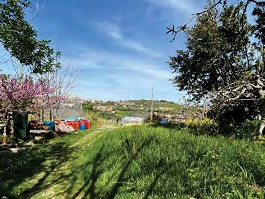 Immagine 1 di Terreno agricolo in vendita  in Strada Galilea a Sant'elpidio A Mare