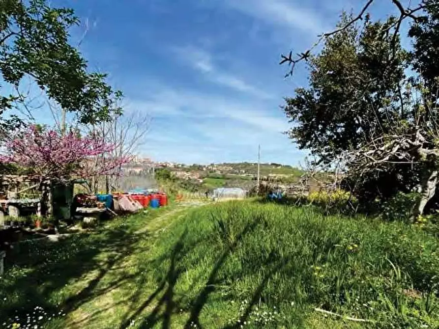 Immagine 2 di Terreno agricolo in vendita  in Strada Galilea a Sant'elpidio A Mare