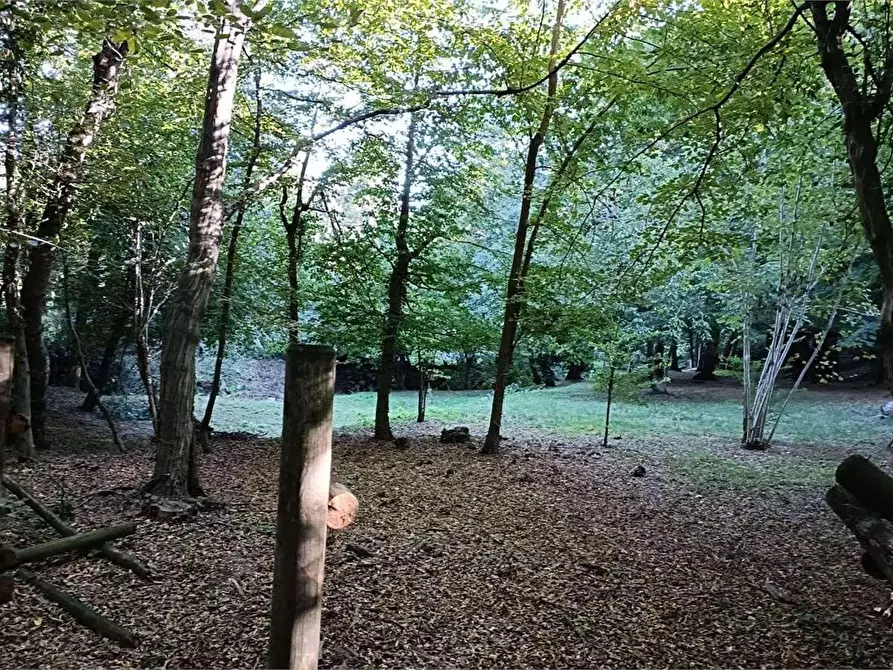 Immagine 1 di Terreno agricolo in vendita  in Localita' Maccio 2 a Villa Guardia