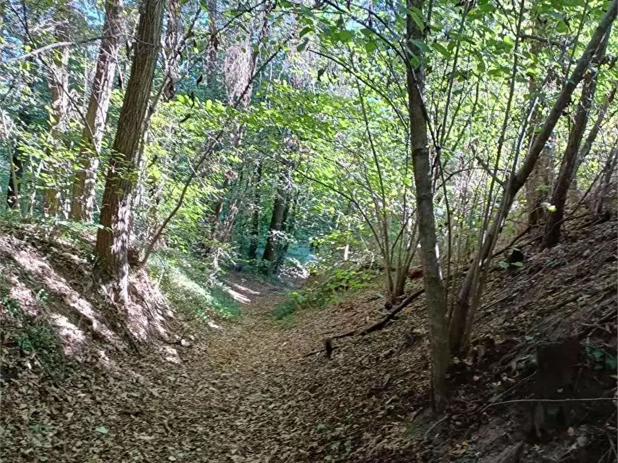 Immagine 2 di Terreno agricolo in vendita  in Localita' Maccio 2 a Villa Guardia