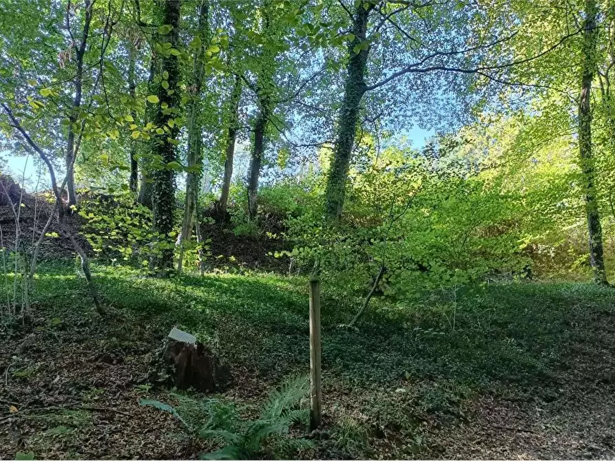 Immagine 3 di Terreno agricolo in vendita  in Localita' Maccio 2 a Villa Guardia