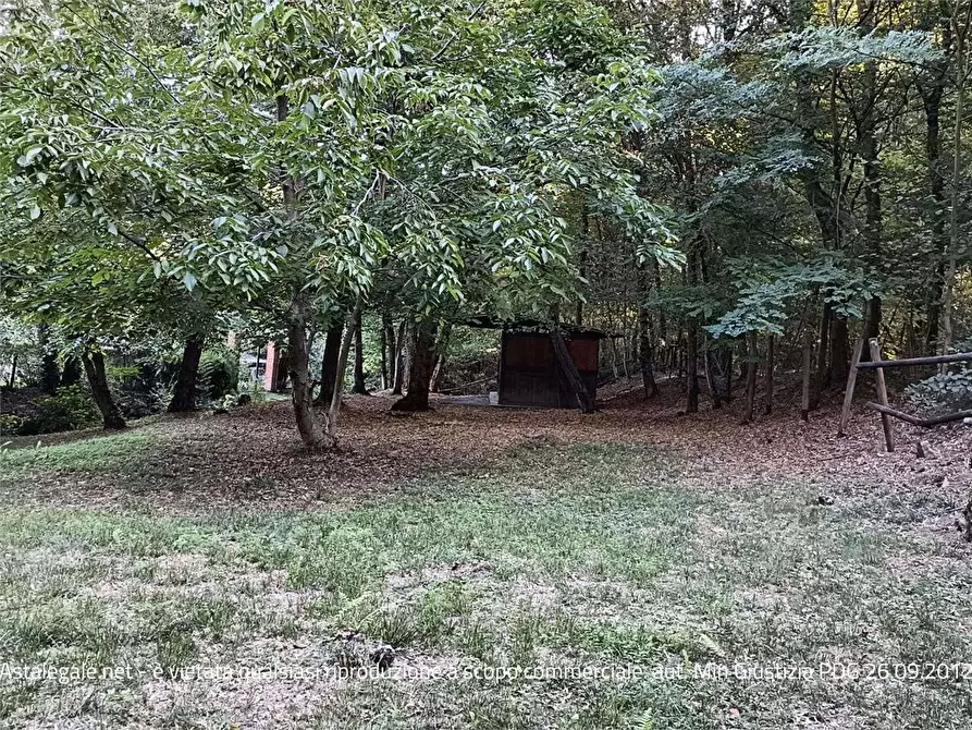 Immagine 4 di Terreno agricolo in vendita  in Localita' Maccio 2 a Villa Guardia