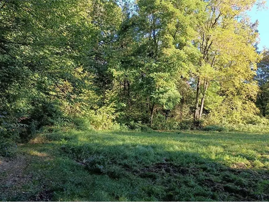 Immagine 6 di Terreno agricolo in vendita  in Localita' Maccio 2 a Villa Guardia