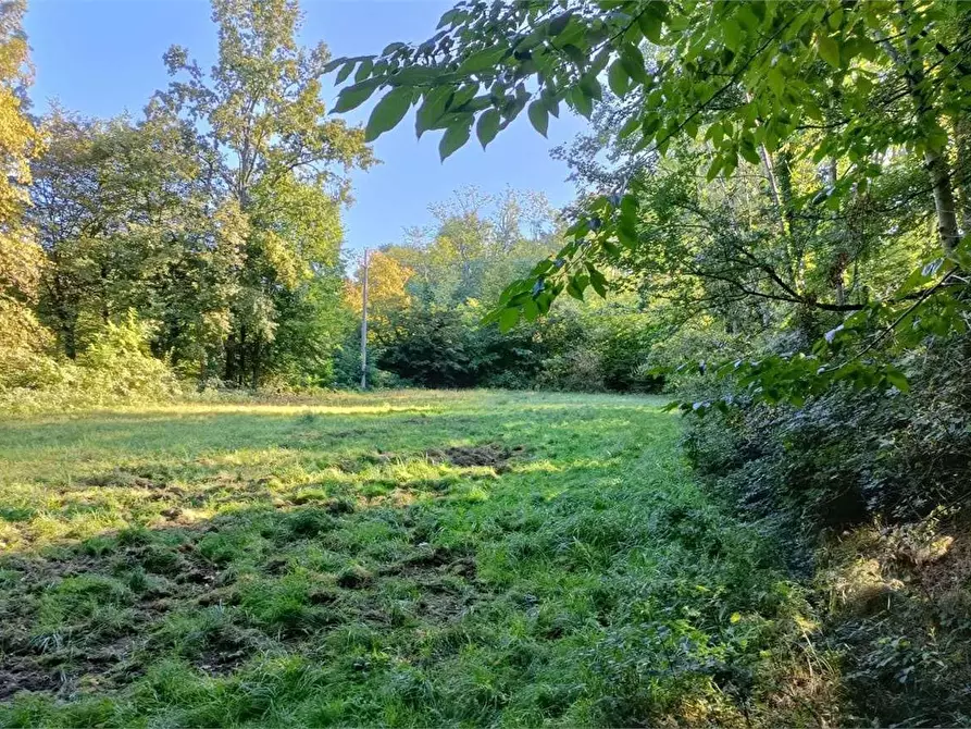 Immagine 7 di Terreno agricolo in vendita  in Localita' Maccio 2 a Villa Guardia