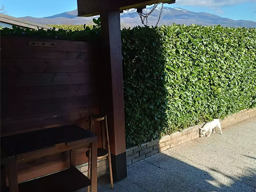 Immagine 7 di Villetta a schiera in vendita  in via Montegrappa a Bardello