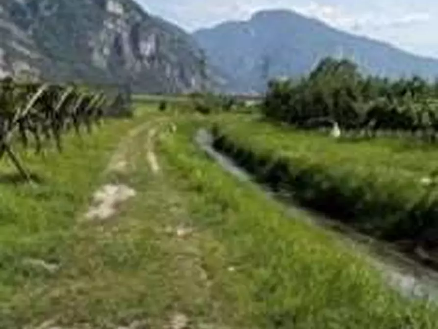 Immagine 1 di Terreno agricolo in vendita  in Via dei Vegri a Aldeno
