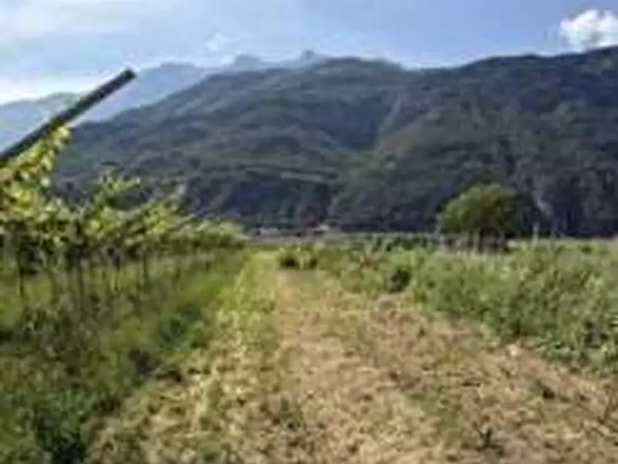 Immagine 2 di Terreno agricolo in vendita  in Via dei Vegri a Aldeno