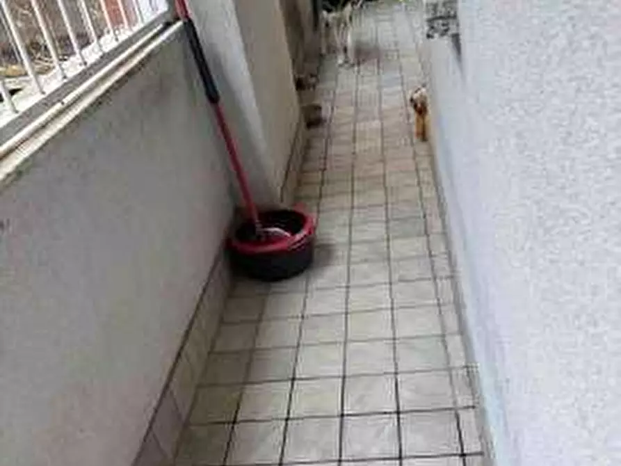 Immagine 10 di Appartamento in vendita  in Via S. Carlo 9 a Garbagnate Milanese