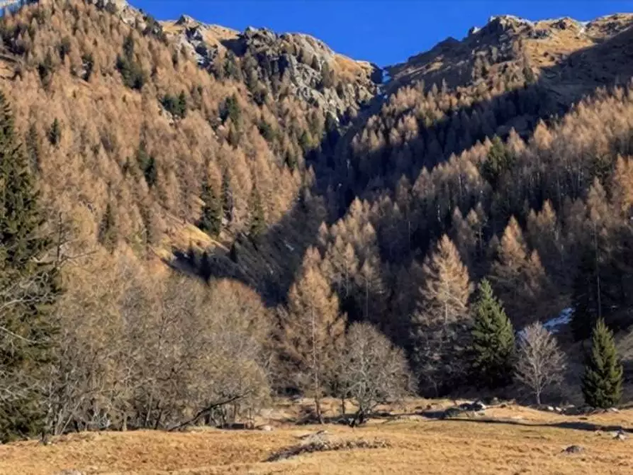 Immagine 1 di Terreno agricolo in vendita  in Localita' Saline a Telve Di Sopra