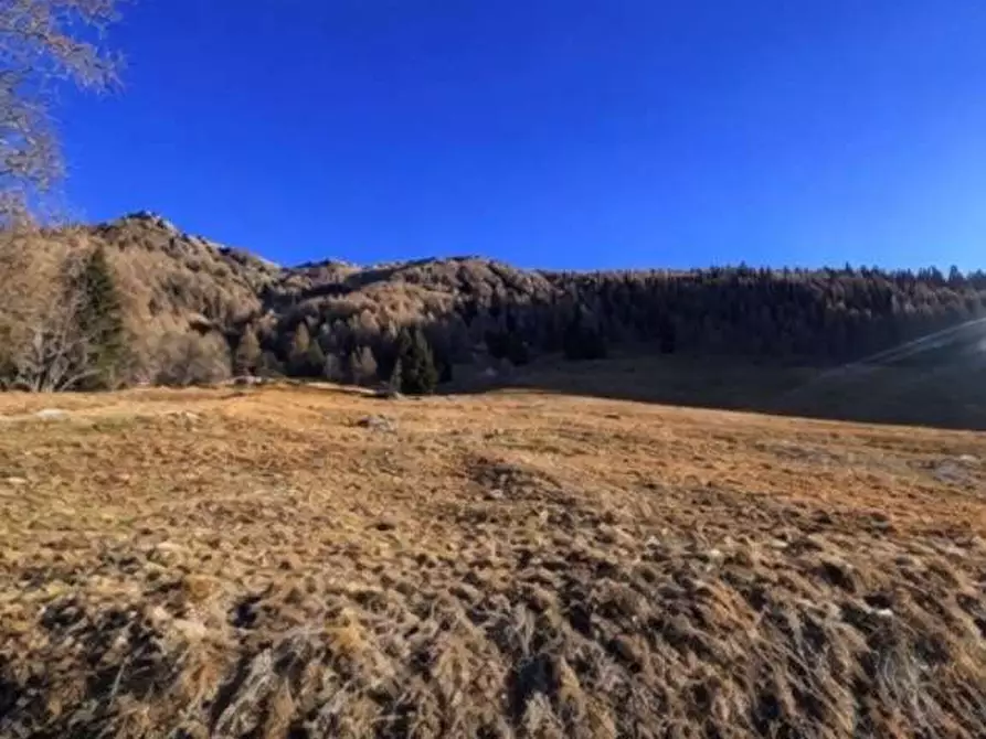 Immagine 3 di Terreno agricolo in vendita  in Localita' Saline a Telve Di Sopra