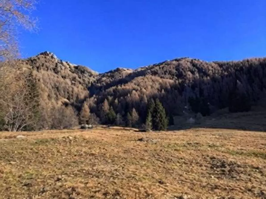 Immagine 4 di Terreno agricolo in vendita  in Localita' Saline a Telve Di Sopra