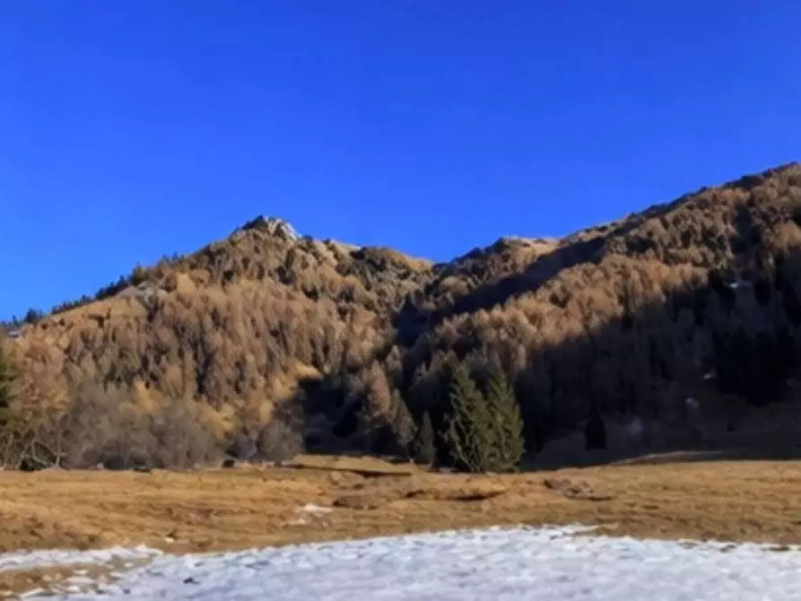 Immagine 6 di Terreno agricolo in vendita  in Localita' Saline a Telve Di Sopra