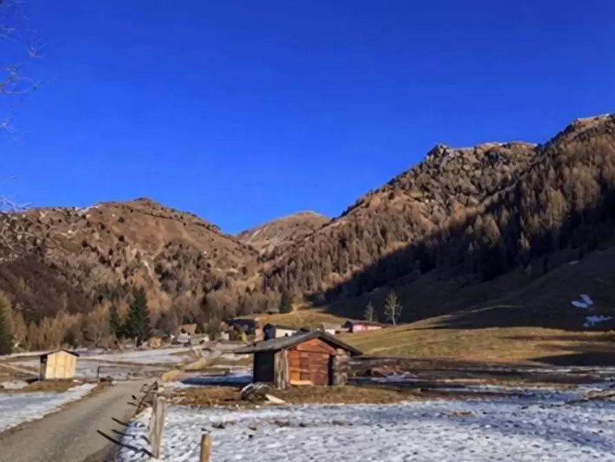 Immagine 7 di Terreno agricolo in vendita  in Localita' Saline a Telve Di Sopra