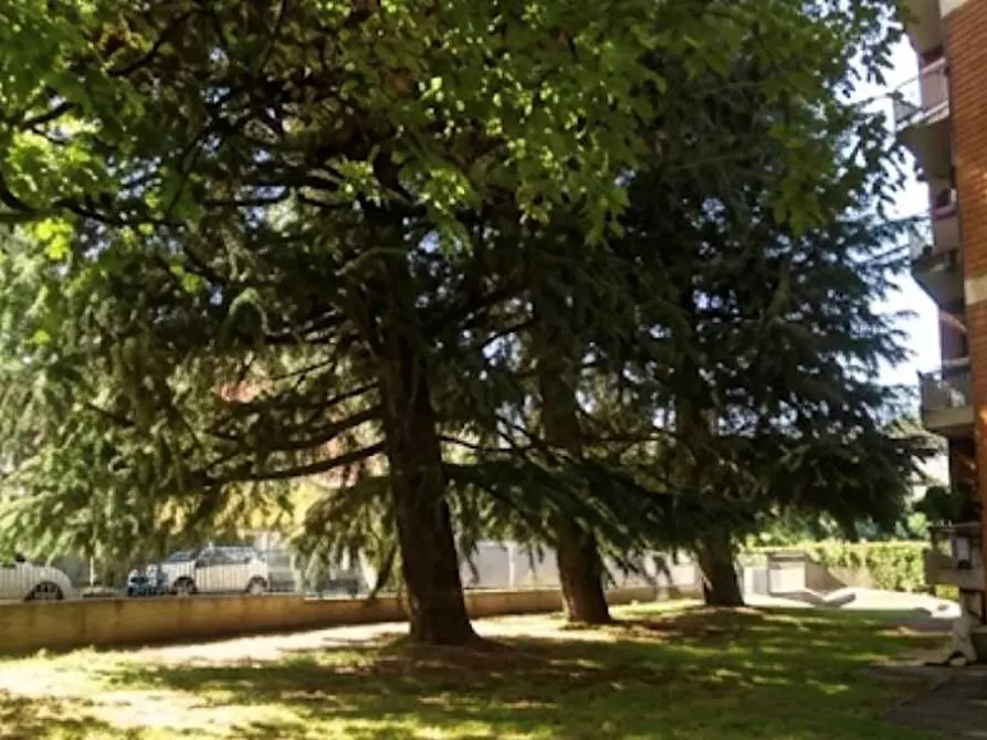 Immagine 7 di Appartamento in vendita  in Via Giuseppe Parini 1 a Mariano Comense