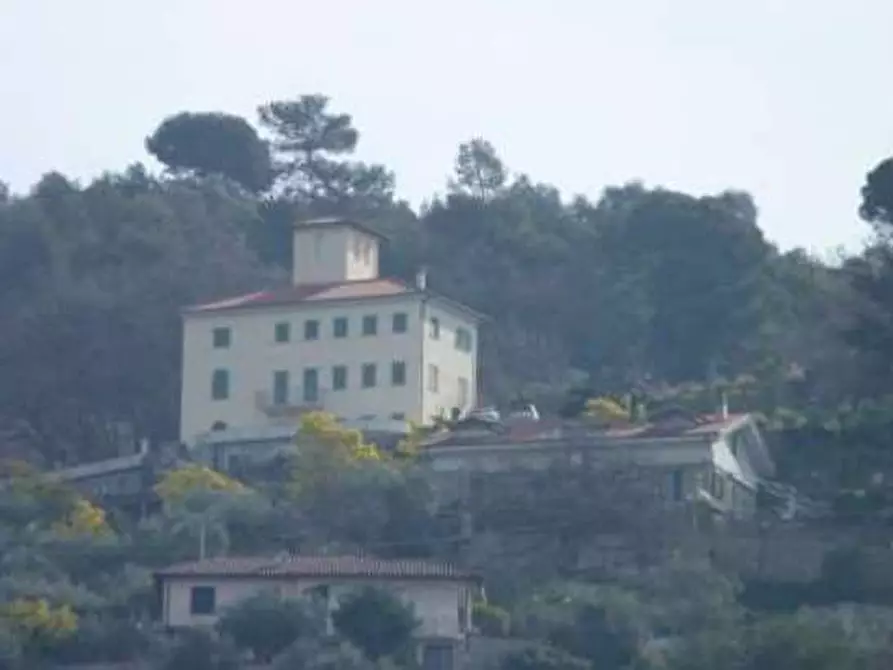 Immagine 5 di Villa in vendita  in Localita' Cassogna a Camporosso