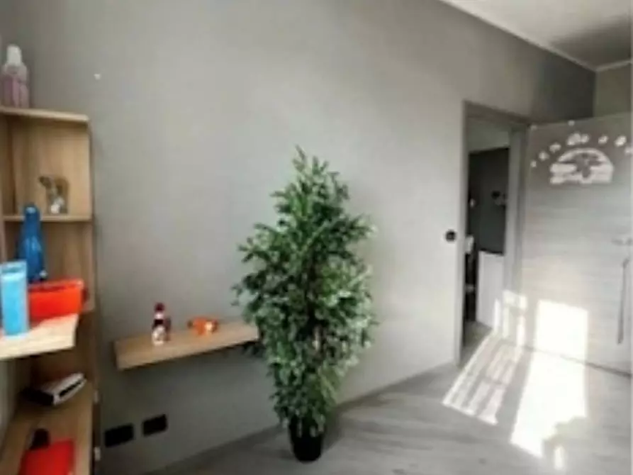 Immagine 11 di Appartamento in vendita  in Via del fagiano  2 a Busto Arsizio