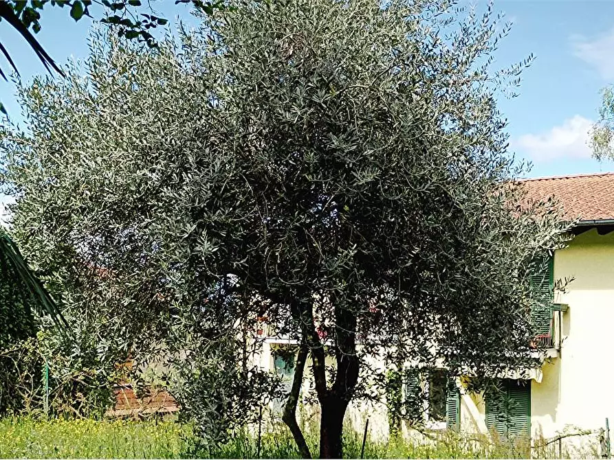 Immagine 16 di Appartamento in vendita  in Via Milano   13 a Orino