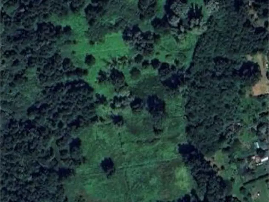 Immagine 1 di Terreno agricolo in vendita  in Via Campaccino a Angera