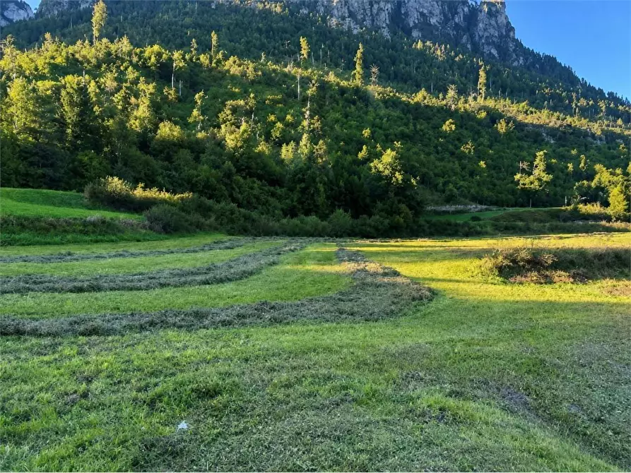 Immagine 3 di Terreno agricolo in vendita  in Ziano di Fiemme a Ziano Di Fiemme