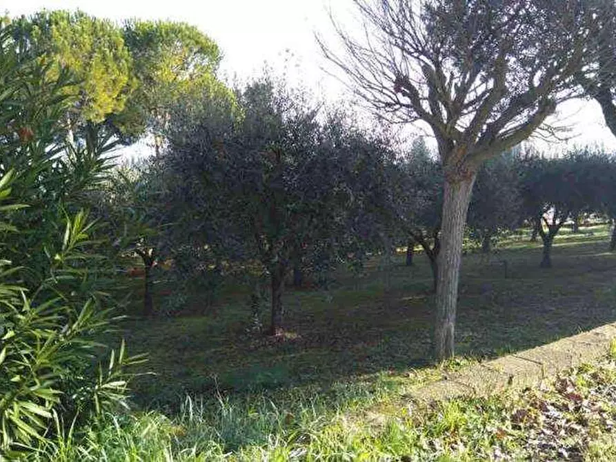Immagine 2 di Terreno agricolo in vendita  in Via Sapienza, 63811 Sant'Elpidio a Mare FM, Italia 13 a Sant'elpidio A Mare