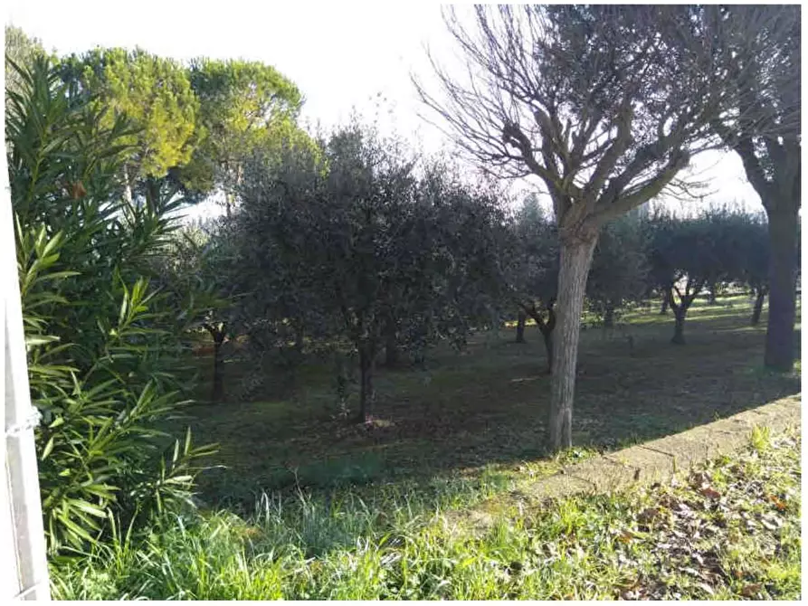 Immagine 5 di Terreno agricolo in vendita  in Via Sapienza, 63811 Sant'Elpidio a Mare FM, Italia 13 a Sant'elpidio A Mare
