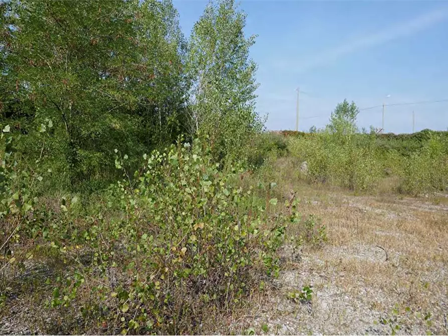 Immagine 4 di Terreno agricolo in vendita  in Via Del Lavoro Località C a Pozzo D'adda