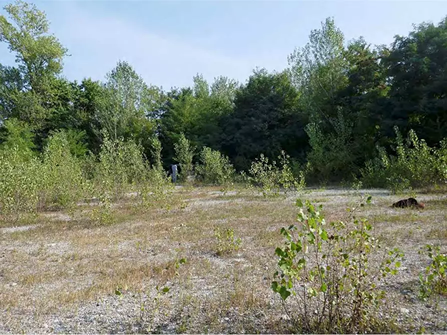 Immagine 5 di Terreno agricolo in vendita  in Via Del Lavoro Località C a Pozzo D'adda