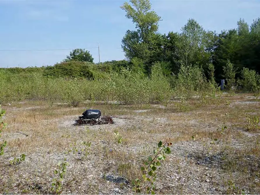 Immagine 6 di Terreno agricolo in vendita  in Via Del Lavoro Località C a Pozzo D'adda