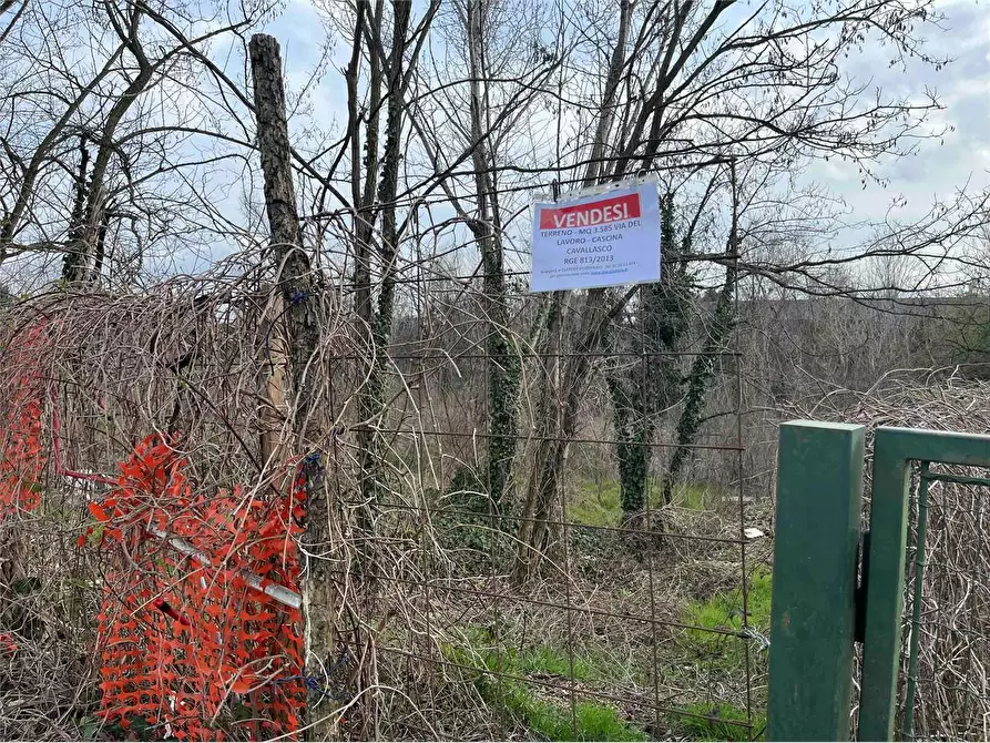 Immagine 8 di Terreno agricolo in vendita  in Via Del Lavoro Località C a Pozzo D'adda