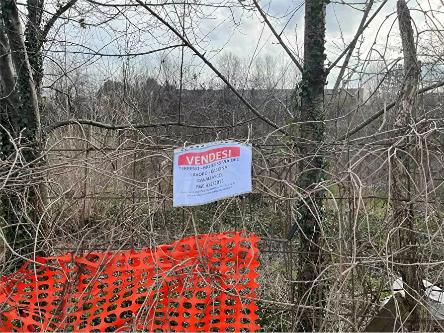 Immagine 9 di Terreno agricolo in vendita  in Via Del Lavoro Località C a Pozzo D'adda