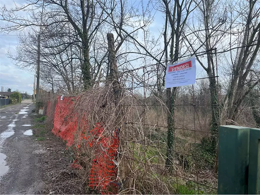 Immagine 10 di Terreno agricolo in vendita  in Via Del Lavoro Località C a Pozzo D'adda