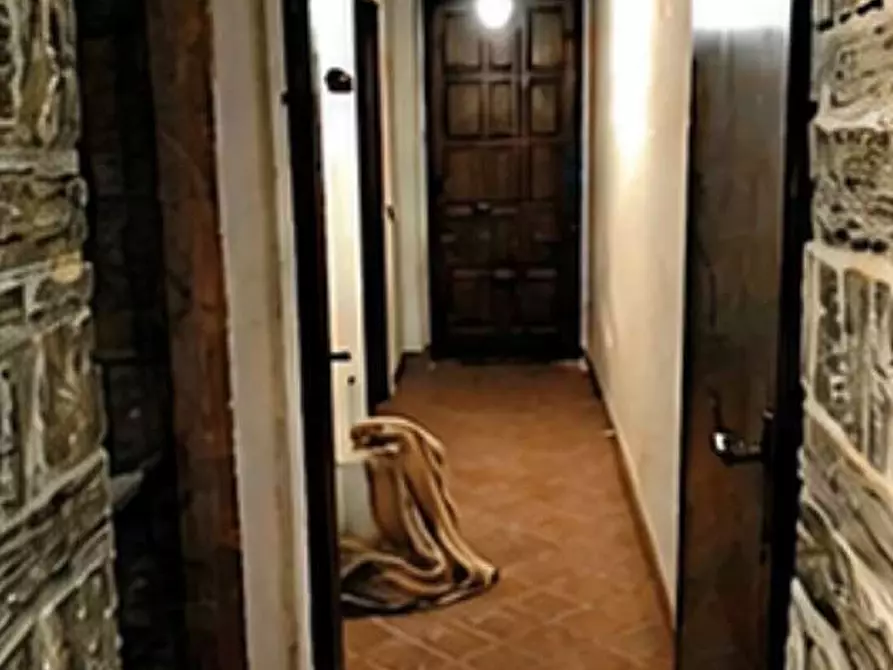 Immagine 17 di Appartamento in vendita  in Via San Pietro 12 a Arconate