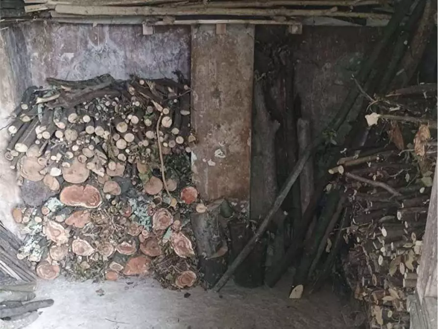 Immagine 21 di Castello in vendita  in Via Statale  3947 a Tremezzina
