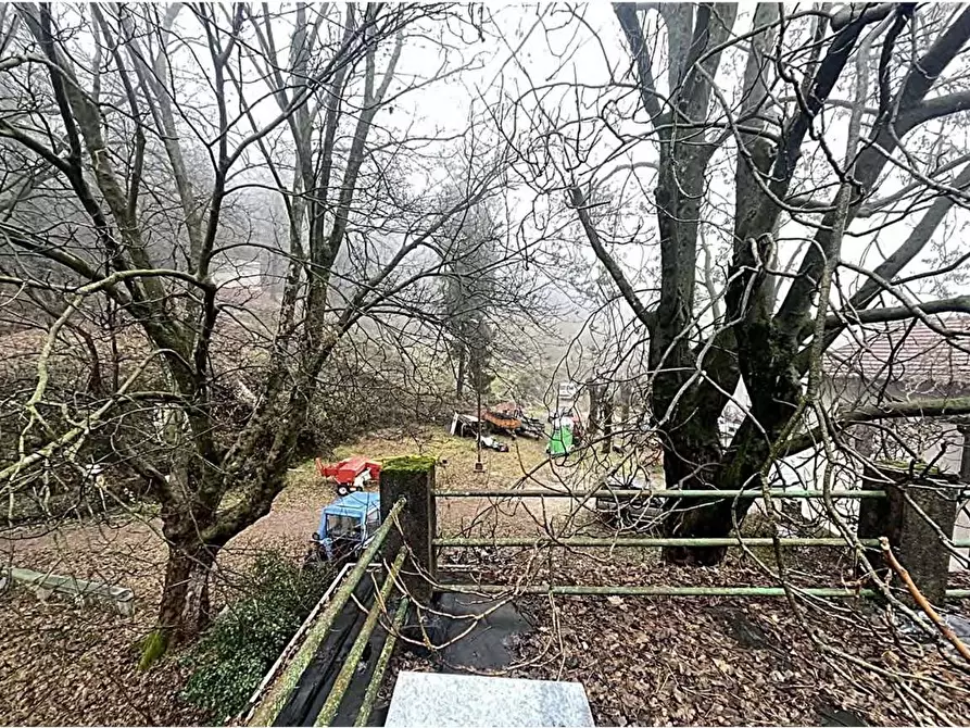 Immagine 4 di Appartamento in vendita  in Via Crivelli 87 a Induno Olona