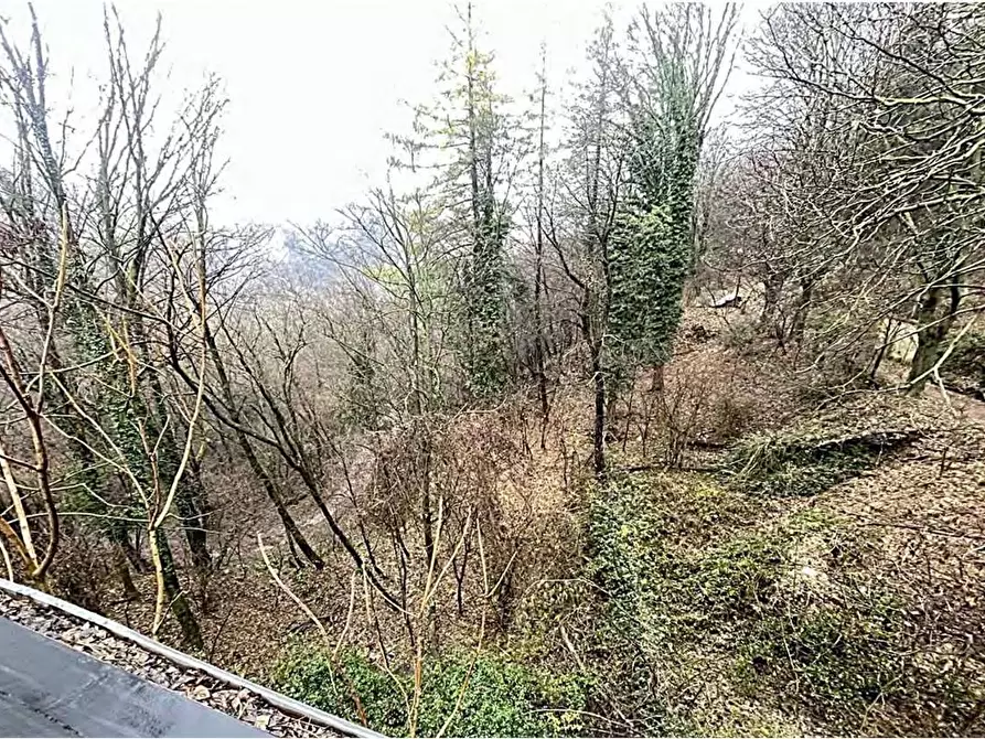 Immagine 6 di Appartamento in vendita  in Via Crivelli 87 a Induno Olona