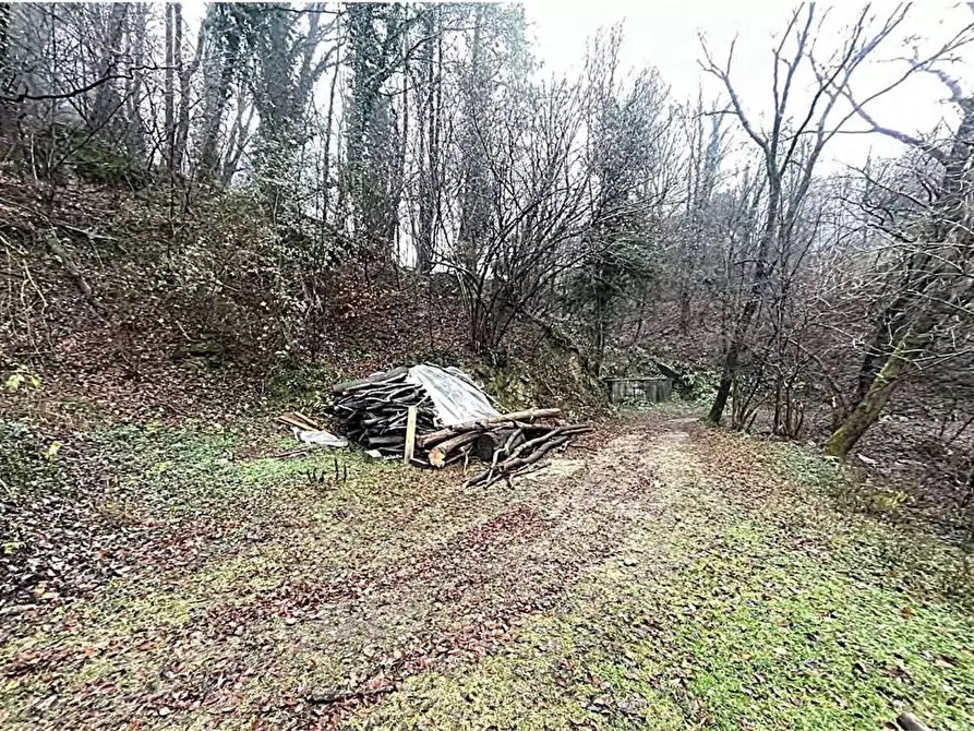 Immagine 10 di Appartamento in vendita  in Via Crivelli 87 a Induno Olona