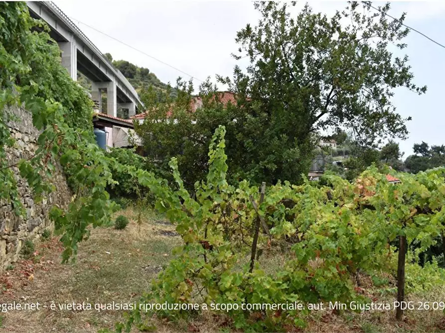 Immagine 24 di Casa indipendente in vendita  in Strada SAN GIOVANNI 129 a San Remo