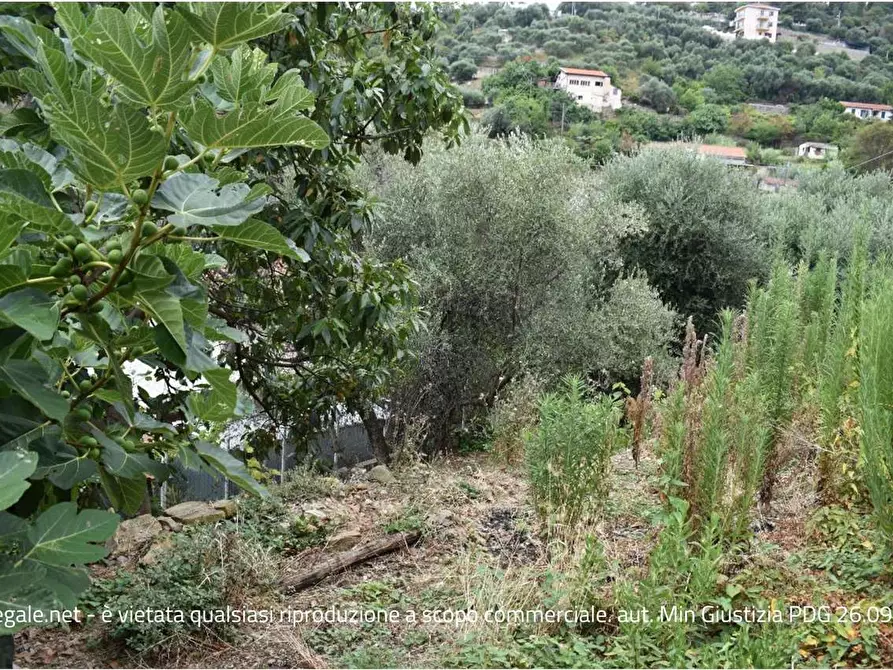 Immagine 26 di Casa indipendente in vendita  in Strada SAN GIOVANNI 129 a San Remo