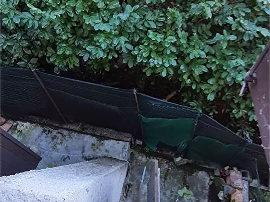 Immagine 7 di Appartamento in vendita  in Via ADAMOLI DOMENICO 14 14 a Besozzo