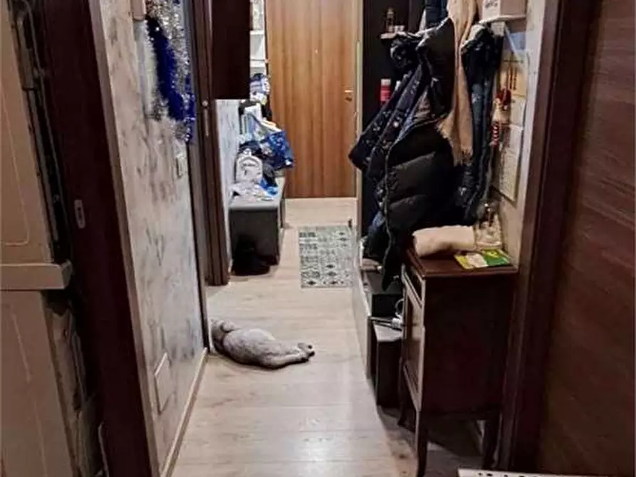 Immagine 8 di Appartamento in vendita  in Via Pirandello 14 a Cadorago