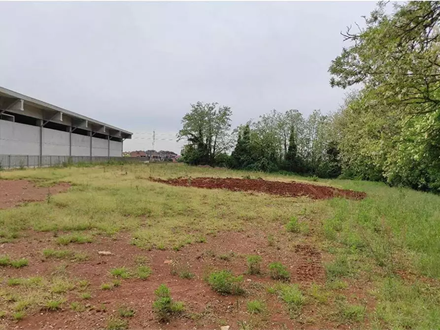 Immagine 2 di Terreno agricolo in vendita  in Via Luigi Einaudi a Correzzana