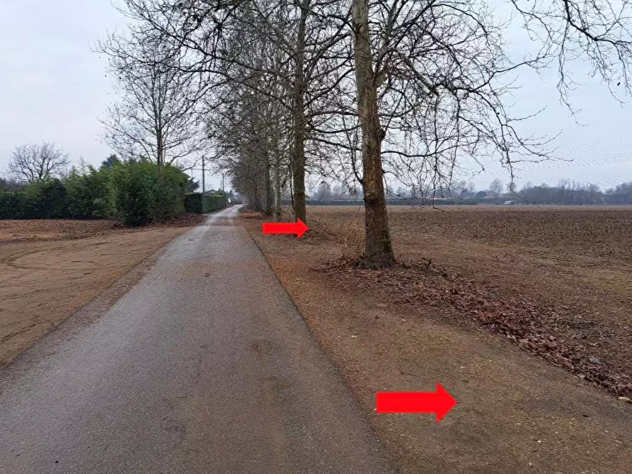 Immagine 6 di Terreno agricolo in vendita  in Frazione borsano SNC a Busto Arsizio