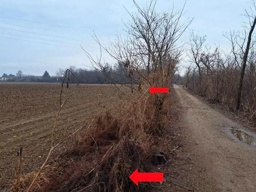 Immagine 8 di Terreno agricolo in vendita  in Frazione borsano SNC a Busto Arsizio